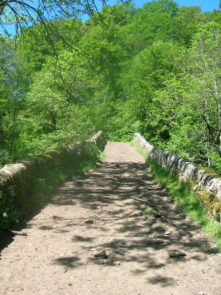 Tour du Cantal 2009 Pont-romain2